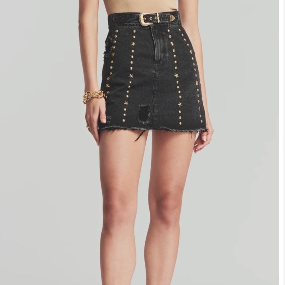 NWT retrofete skirt